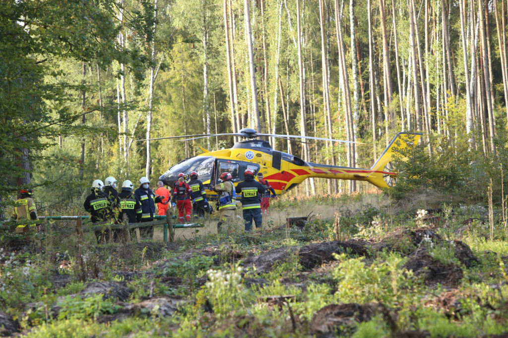 Kierowca zasłabł podczas jazdy. Śmigłowiec LPR lądował w lesie na wyrębisku [wideo]
