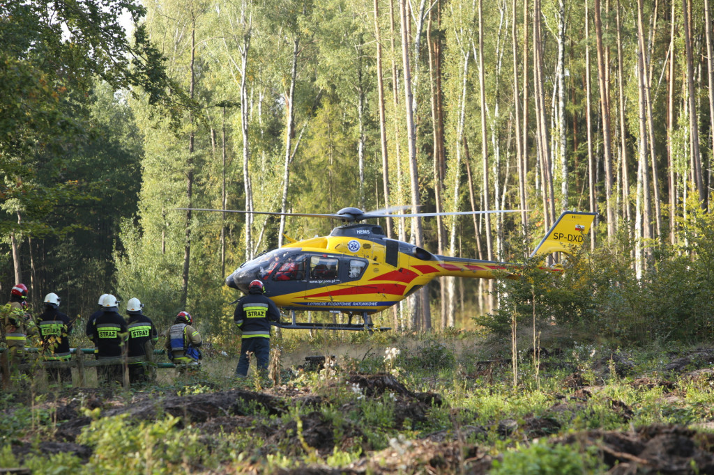 Kierowca zasłabł podczas jazdy. Śmigłowiec LPR lądował w lesie na wyrębisku [wideo]