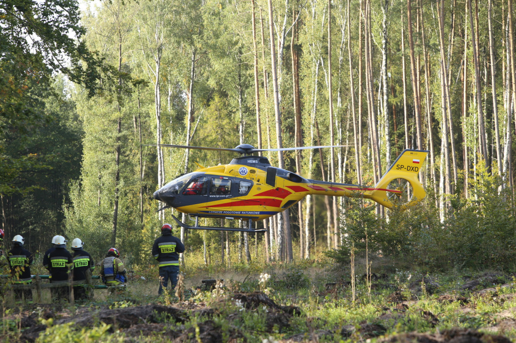 Kierowca zasłabł podczas jazdy. Śmigłowiec LPR lądował w lesie na wyrębisku [wideo]