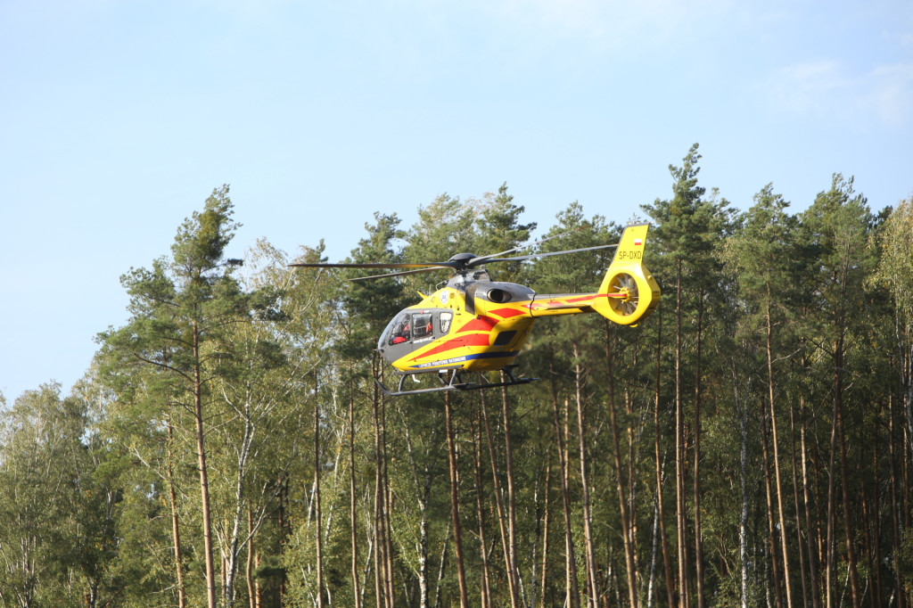 Kierowca zasłabł podczas jazdy. Śmigłowiec LPR lądował w lesie na wyrębisku [wideo]