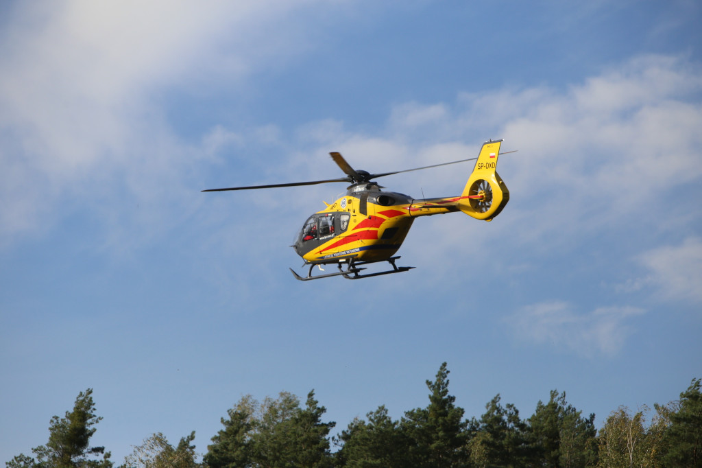 Kierowca zasłabł podczas jazdy. Śmigłowiec LPR lądował w lesie na wyrębisku [wideo]