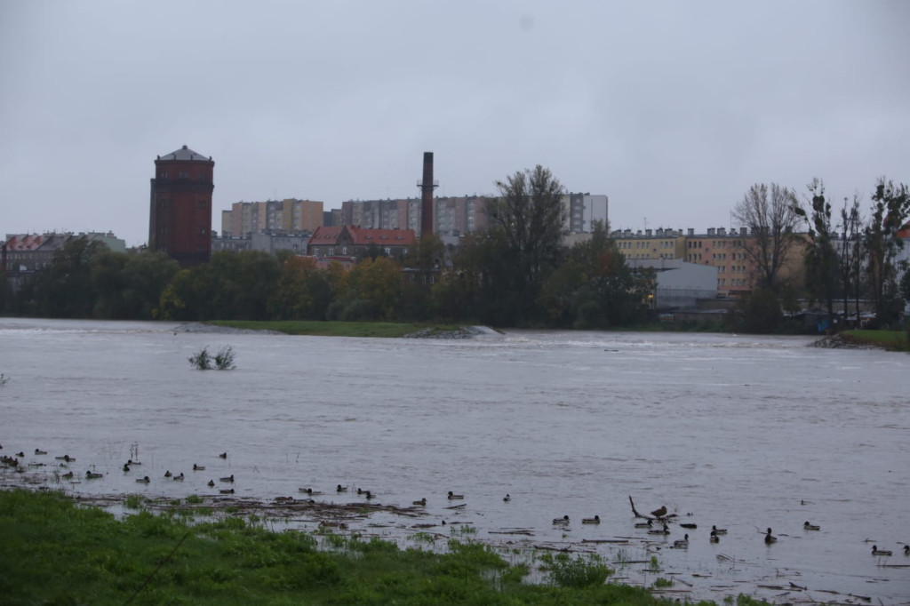 Odra w Brzegu przekroczyła stan ostrzegawczy