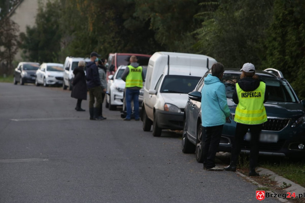 Nielegalna hodowla psów w Rogalicach. TOZ w asyście policji odbiera zwierzęta