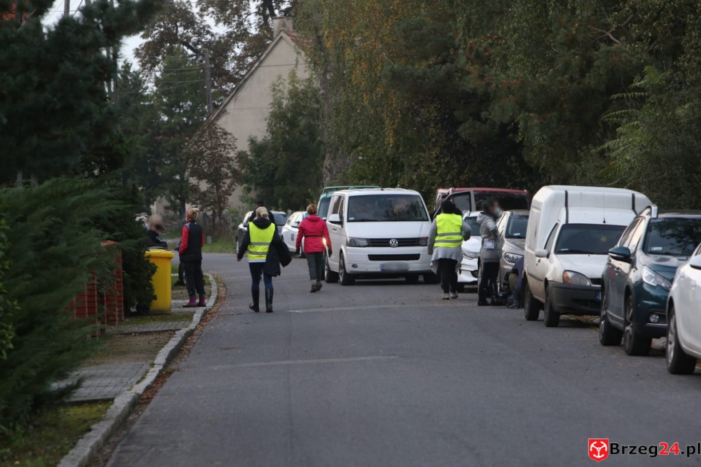 Nielegalna hodowla psów w Rogalicach. TOZ w asyście policji odbiera zwierzęta