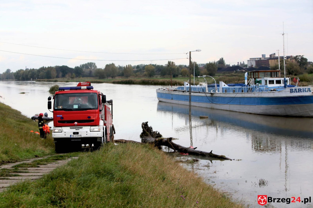 Opolskiej barce zagrażały potężne konary drzew. Z pomocą ruszyli strażacy z Brzegu [wideo]