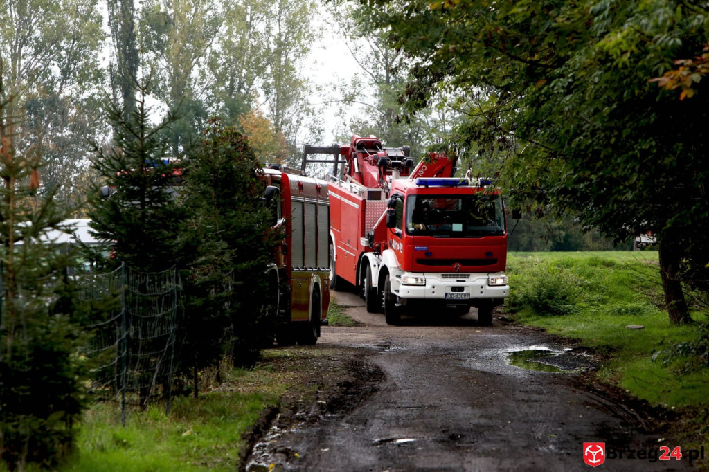 Opolskiej barce zagrażały potężne konary drzew. Z pomocą ruszyli strażacy z Brzegu [wideo]