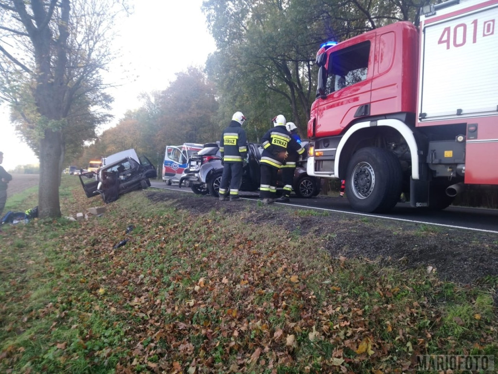 Dwa wypadki na drogach krajowych w powiecie brzeskim