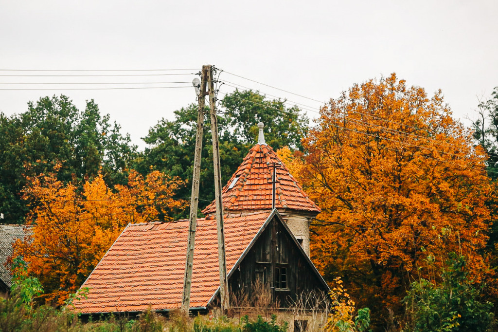 Mąkoszyce w barwach jesieni. Zobacz krótką fotogalerię autorstwa Łukasza Józwenki