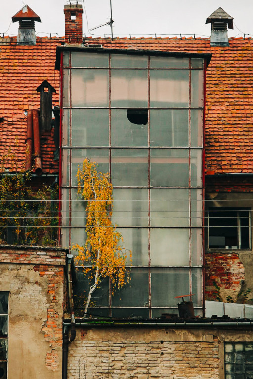 Mąkoszyce w barwach jesieni. Zobacz krótką fotogalerię autorstwa Łukasza Józwenki