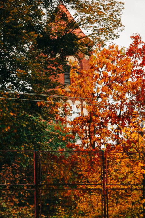 Mąkoszyce w barwach jesieni. Zobacz krótką fotogalerię autorstwa Łukasza Józwenki