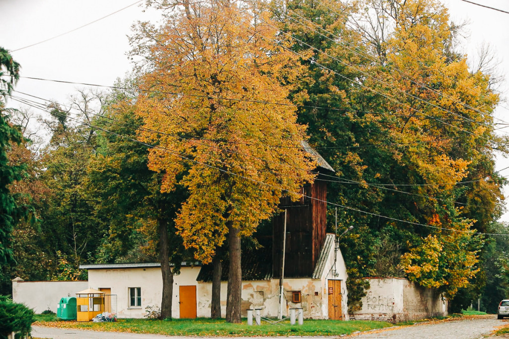 Mąkoszyce w barwach jesieni. Zobacz krótką fotogalerię autorstwa Łukasza Józwenki