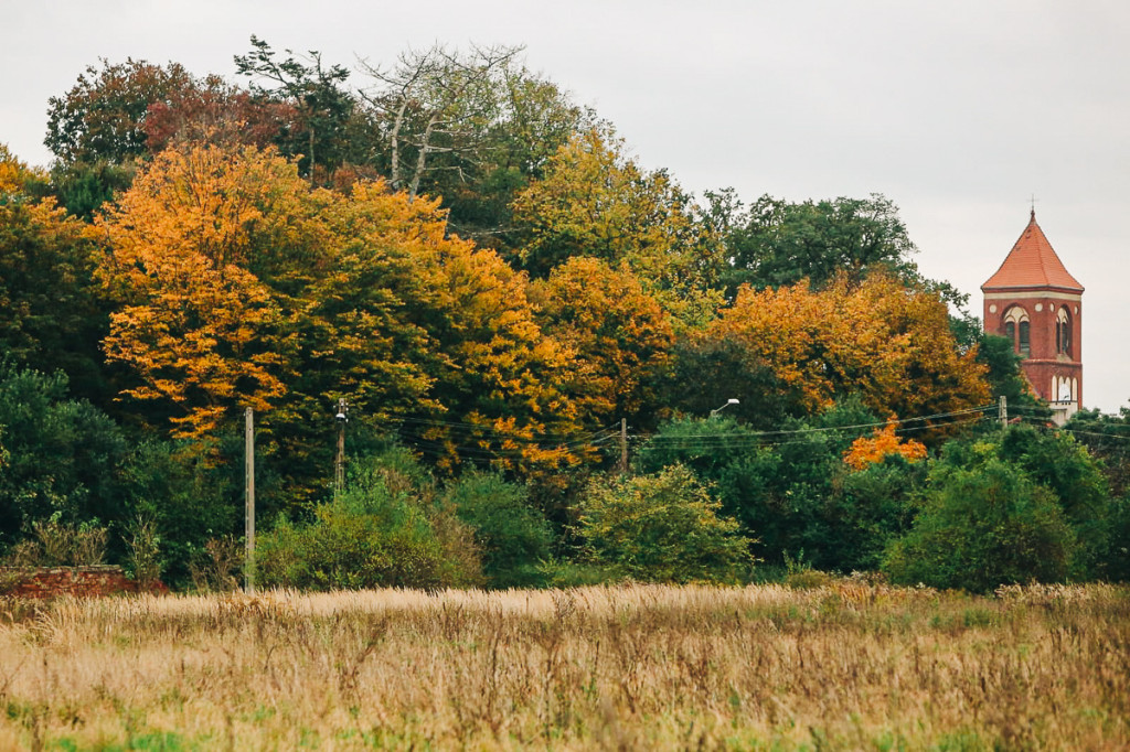 Mąkoszyce w barwach jesieni. Zobacz krótką fotogalerię autorstwa Łukasza Józwenki
