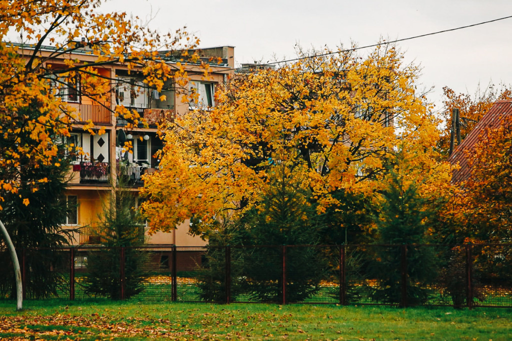 Mąkoszyce w barwach jesieni. Zobacz krótką fotogalerię autorstwa Łukasza Józwenki