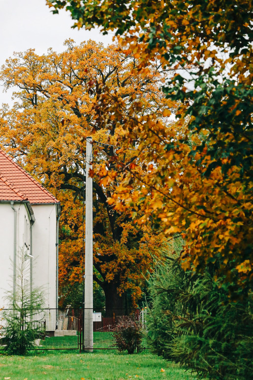 Mąkoszyce w barwach jesieni. Zobacz krótką fotogalerię autorstwa Łukasza Józwenki