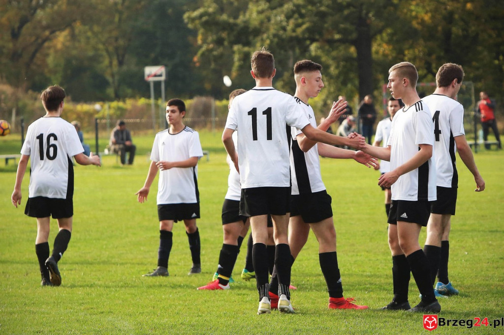 Podsumowanie klasy B. Jak zagrały drużyny z powiatu brzeskiego? [GALERIA Z MECZU Błękitni Przecza - LZS Golczowice]