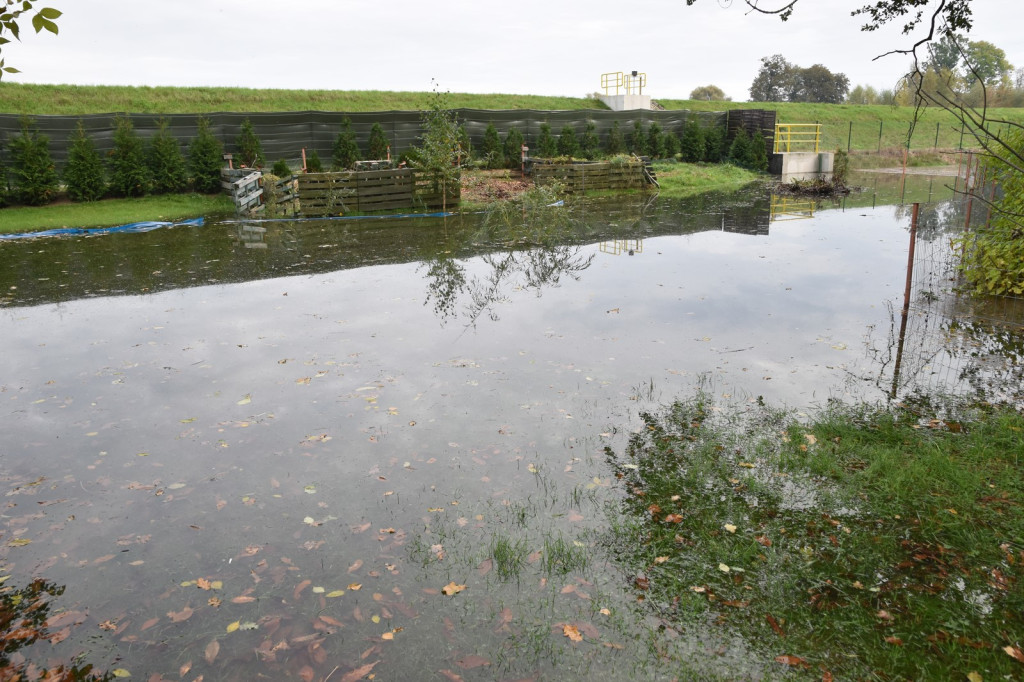 Wał przeciwpowodziowy w Brzegu czeka drobna naprawa, ale zdaniem RZGW nie przesiąka [wideo]