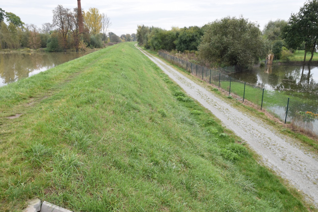 Wał przeciwpowodziowy w Brzegu czeka drobna naprawa, ale zdaniem RZGW nie przesiąka [wideo]