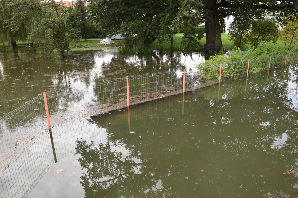 Wał przeciwpowodziowy w Brzegu czeka drobna naprawa, ale zdaniem RZGW nie przesiąka [wideo]