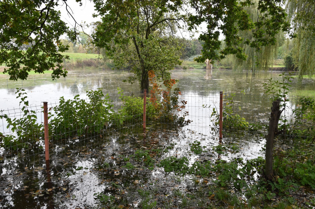 Wał przeciwpowodziowy w Brzegu czeka drobna naprawa, ale zdaniem RZGW nie przesiąka [wideo]