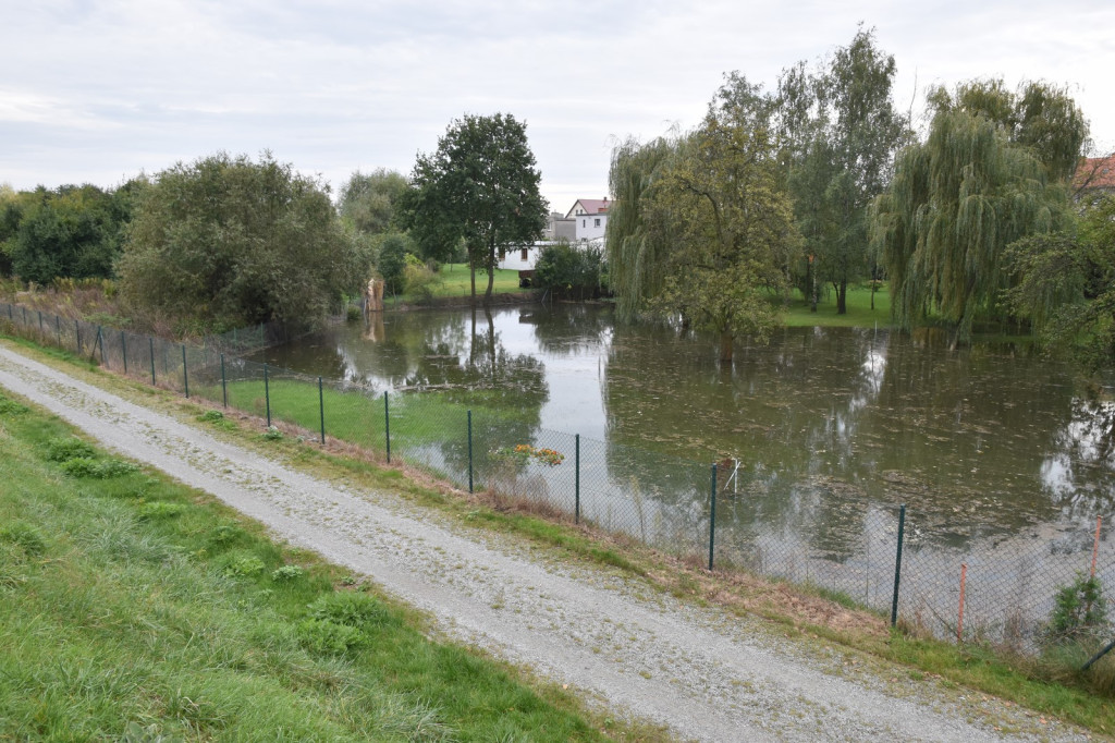 Wał przeciwpowodziowy w Brzegu czeka drobna naprawa, ale zdaniem RZGW nie przesiąka [wideo]