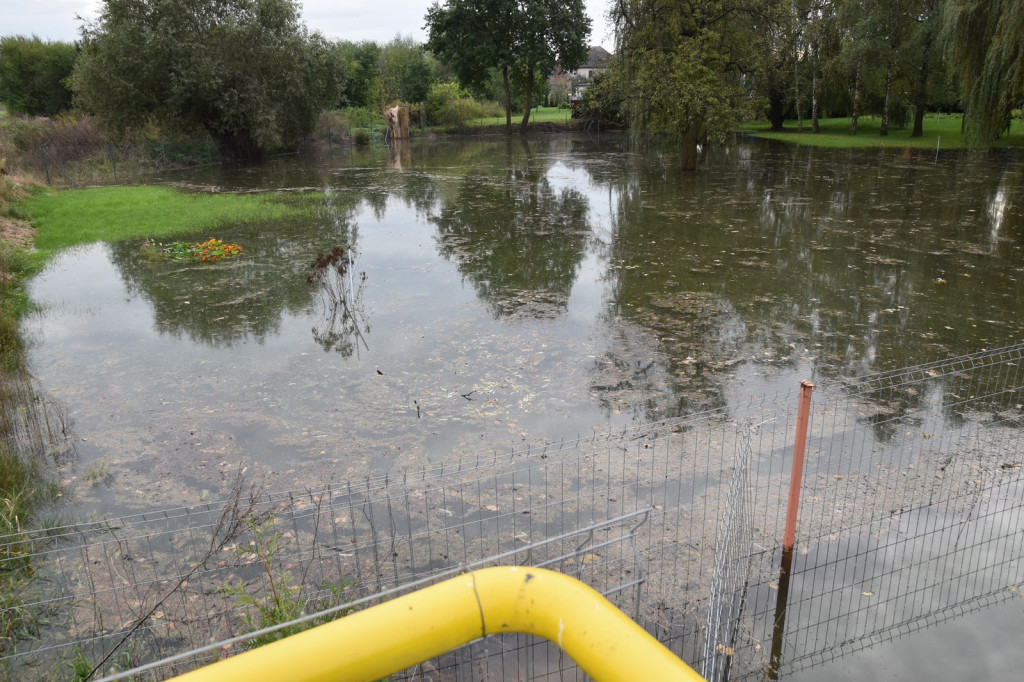 Wał przeciwpowodziowy w Brzegu czeka drobna naprawa, ale zdaniem RZGW nie przesiąka [wideo]