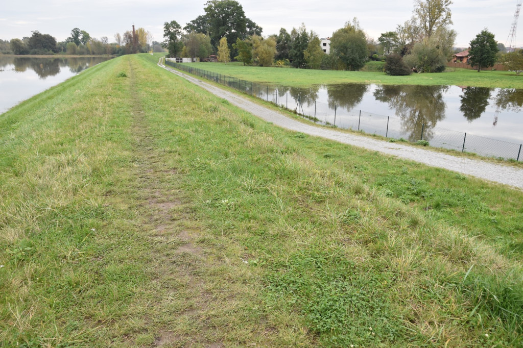 Wał przeciwpowodziowy w Brzegu czeka drobna naprawa, ale zdaniem RZGW nie przesiąka [wideo]