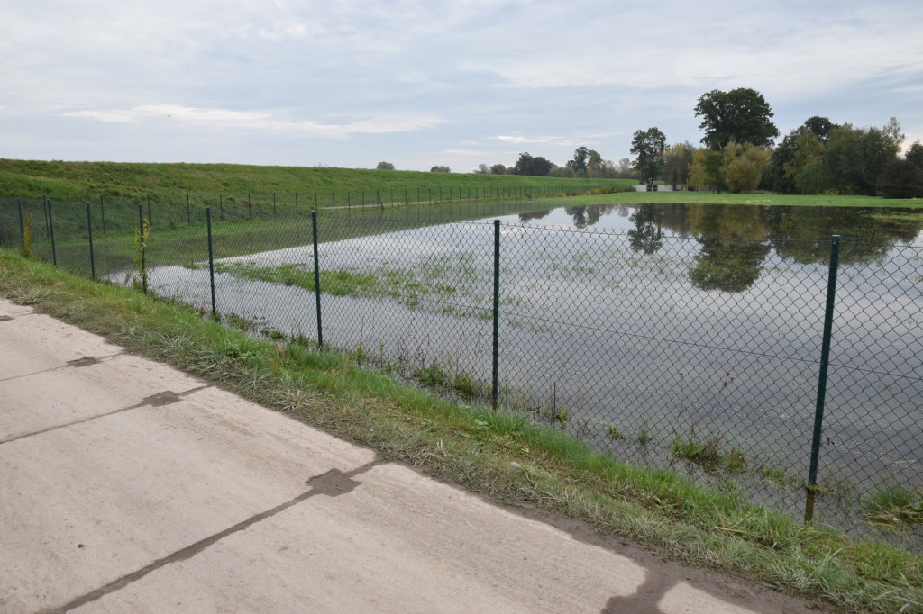 Wał przeciwpowodziowy w Brzegu czeka drobna naprawa, ale zdaniem RZGW nie przesiąka [wideo]