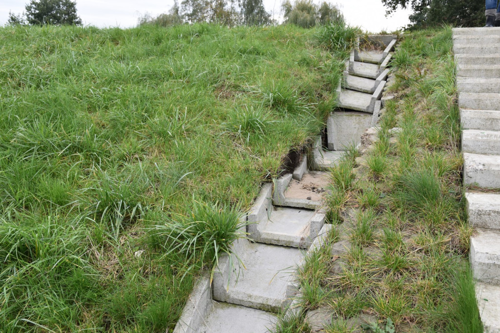 Wał przeciwpowodziowy w Brzegu czeka drobna naprawa, ale zdaniem RZGW nie przesiąka [wideo]