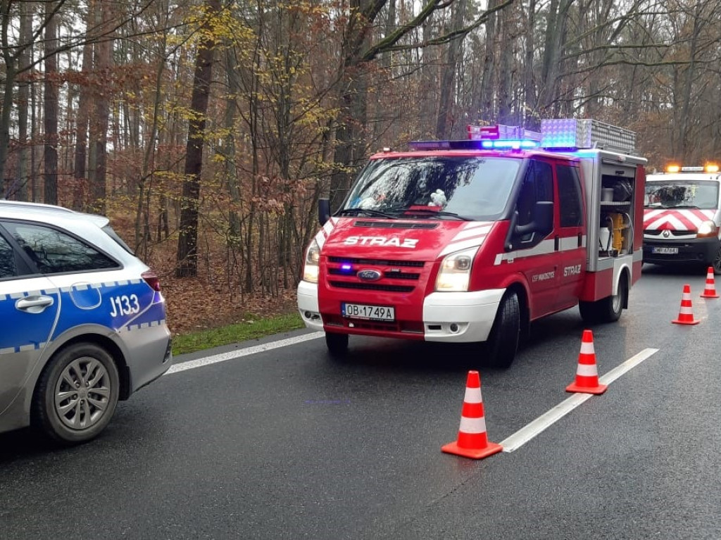 Zderzenie osobówki z ciężarówką na DK 39. Jedna osoba poszkodowana