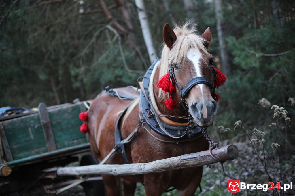 Mała wojowniczka Oliwka spotkała się dzisiaj ze św. Mikołajem