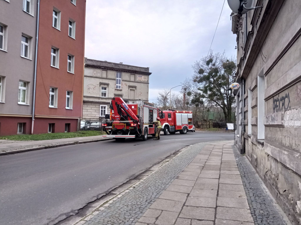 Osobówka uderzyła w ogrodzenie i wpadła na prywatną posesję