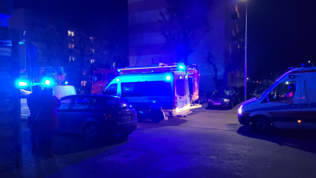 Pożar w Brzegu i Brzezinie. Do akcji zadysponowano strażaków z Brzegu, Grodkowa i okolicznych jednostek OSP