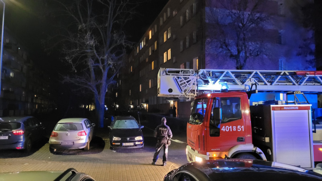 Pożar w Brzegu i Brzezinie. Do akcji zadysponowano strażaków z Brzegu, Grodkowa i okolicznych jednostek OSP