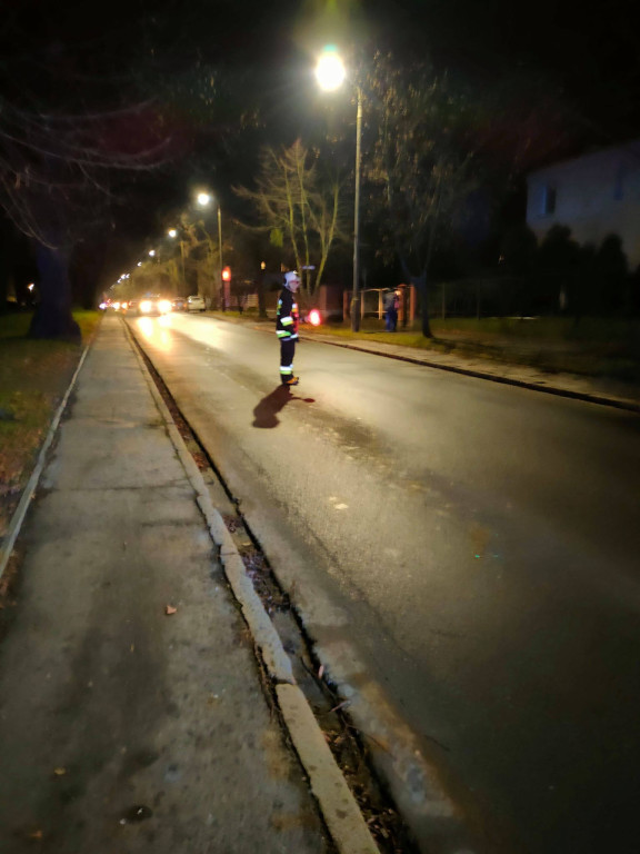 Pożar w Brzegu i Brzezinie. Do akcji zadysponowano strażaków z Brzegu, Grodkowa i okolicznych jednostek OSP