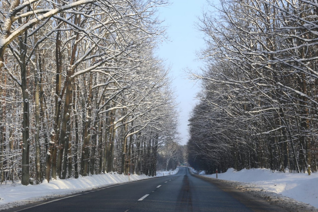 Zima zatrzymana w kadrze