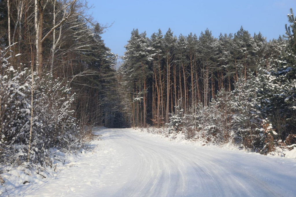 Zima zatrzymana w kadrze