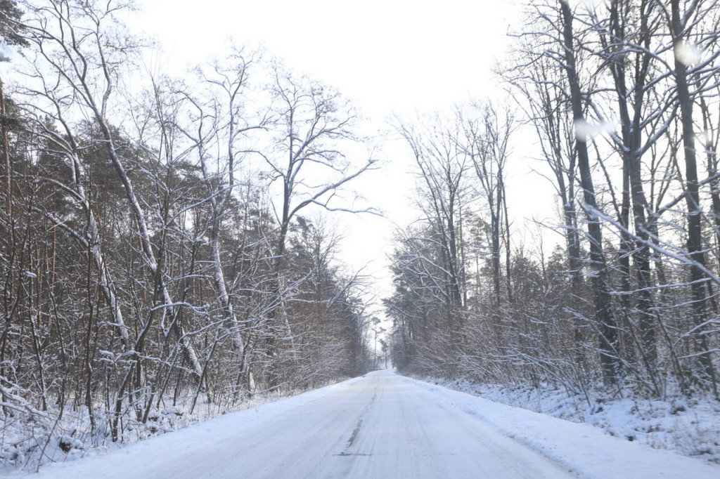 Zima zatrzymana w kadrze