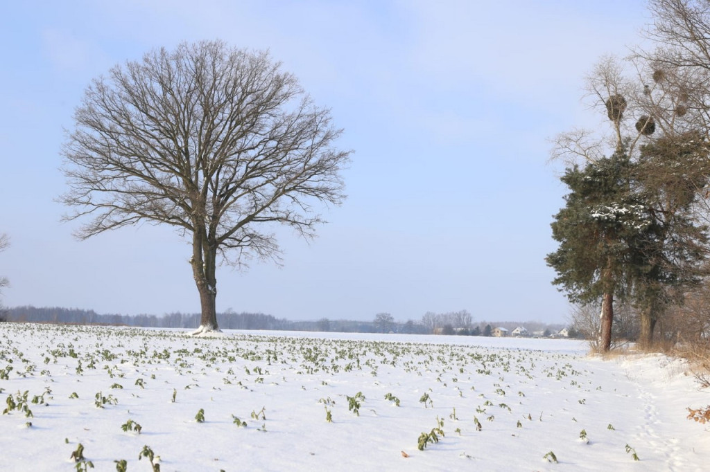 Zima zatrzymana w kadrze