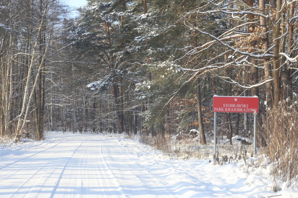 Zima zatrzymana w kadrze