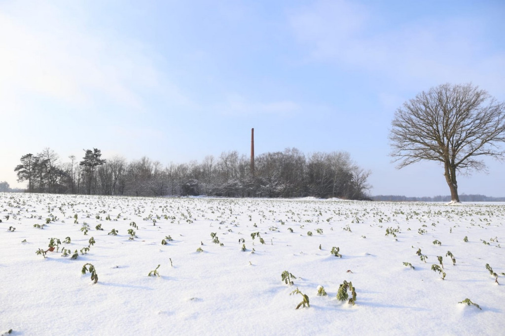 Zima zatrzymana w kadrze