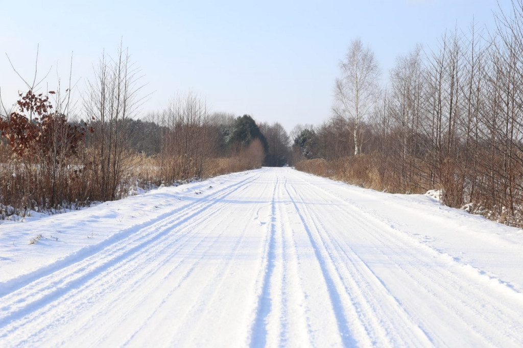 Zima zatrzymana w kadrze