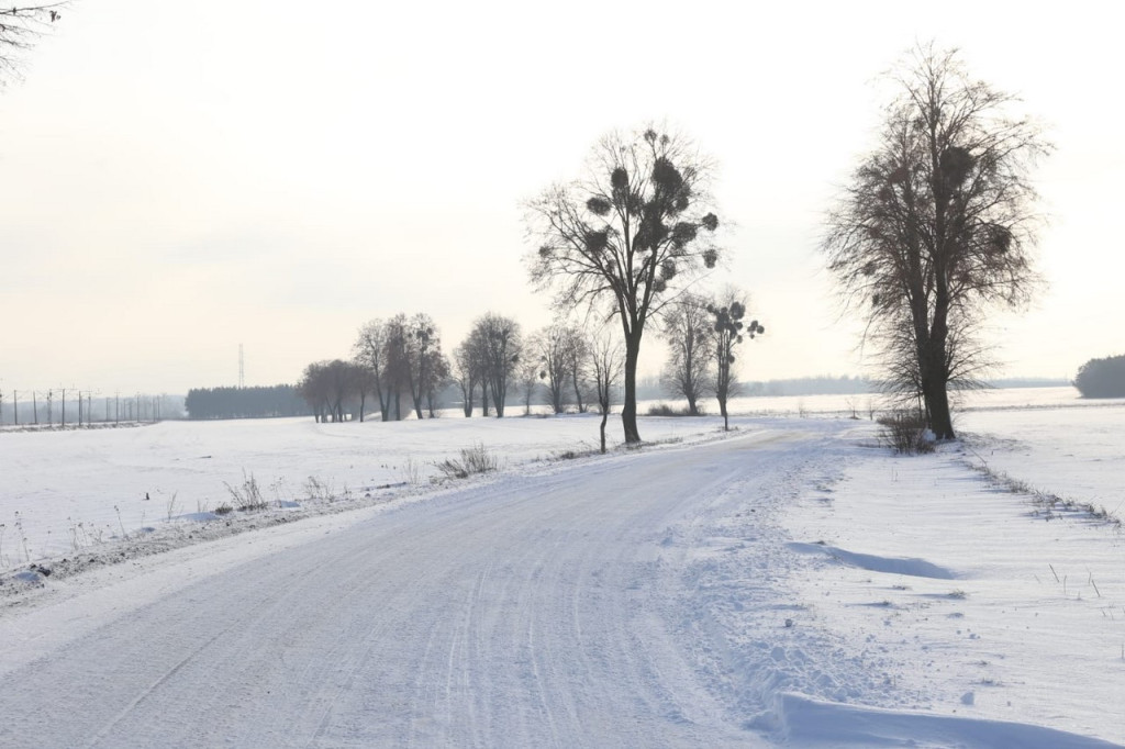 Zima zatrzymana w kadrze
