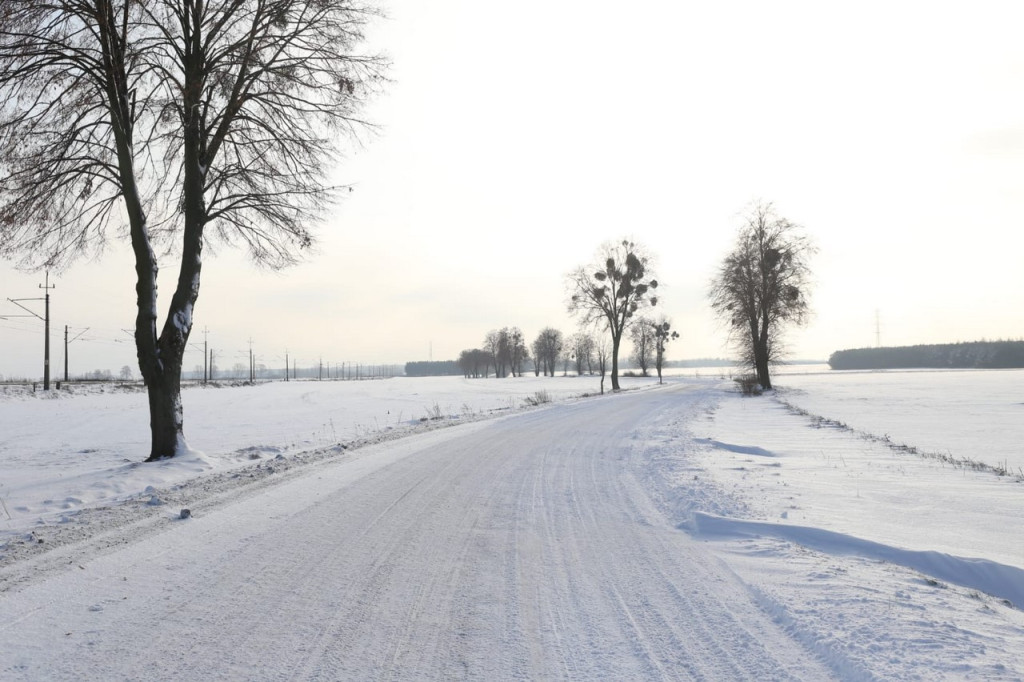 Zima zatrzymana w kadrze