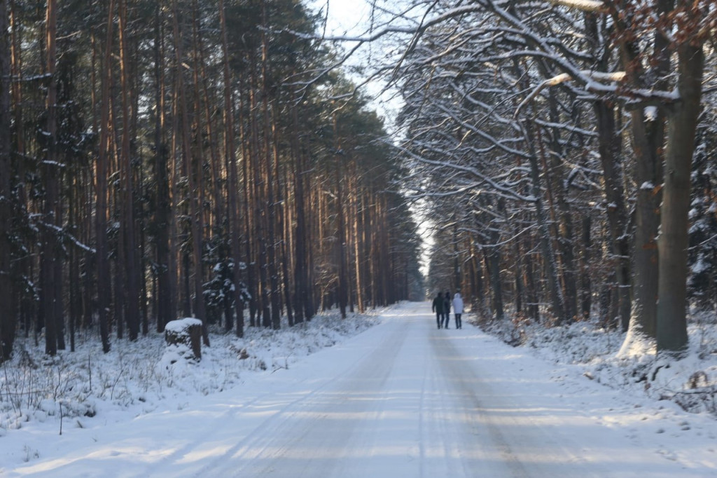 Zima zatrzymana w kadrze