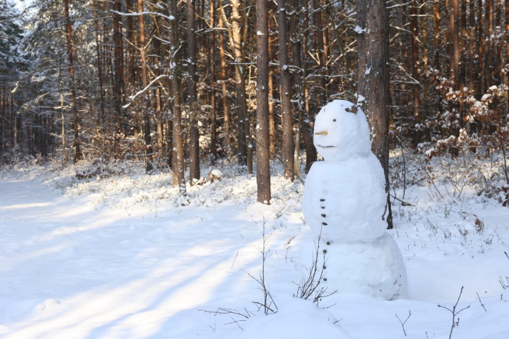 Zima zatrzymana w kadrze