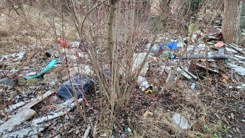 Na terenie dawnych ogrodów działkowych rośnie dzikie wysypisko. Mieszkańcy Brzegu interweniują