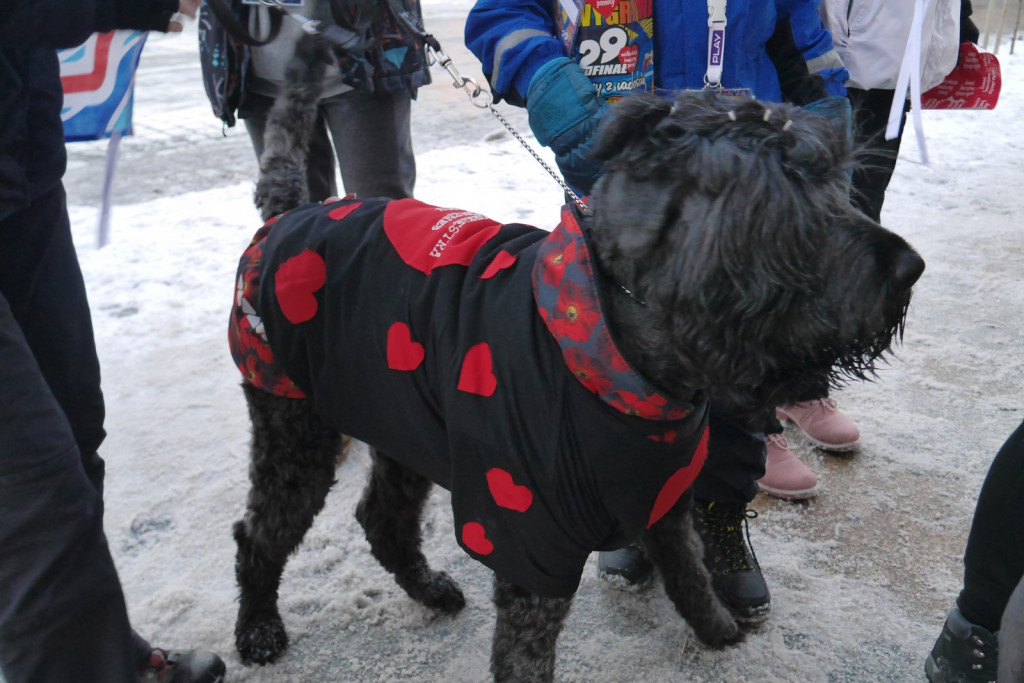 Brzeski sztab WOŚP ma już ponad 10 tys. złotych