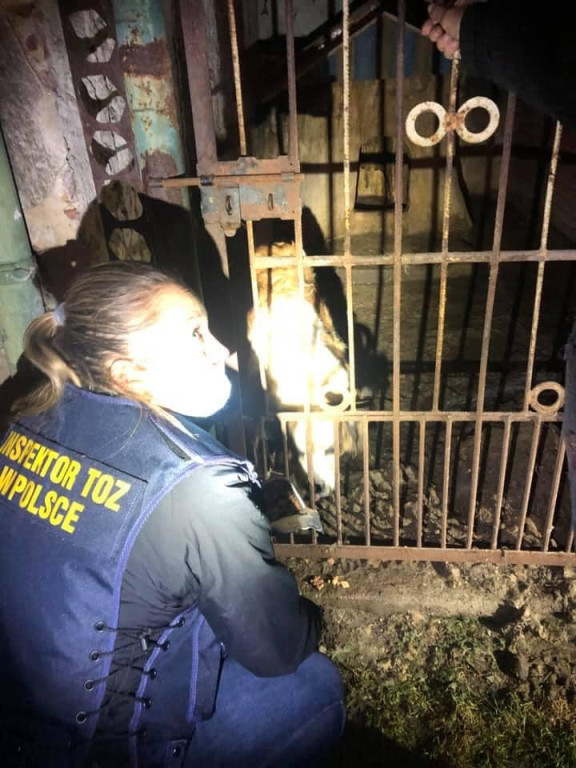 Ksiądz może usłyszeć zarzut znęcania się nad zwierzętami. TOZ odebrał mu dwa psy