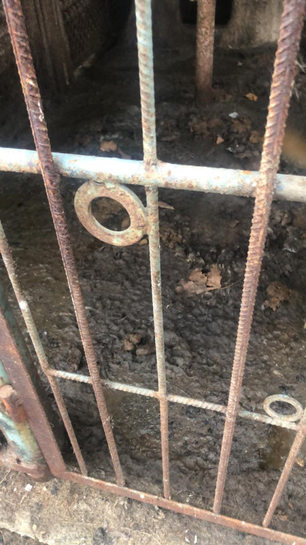 Ksiądz może usłyszeć zarzut znęcania się nad zwierzętami. TOZ odebrał mu dwa psy