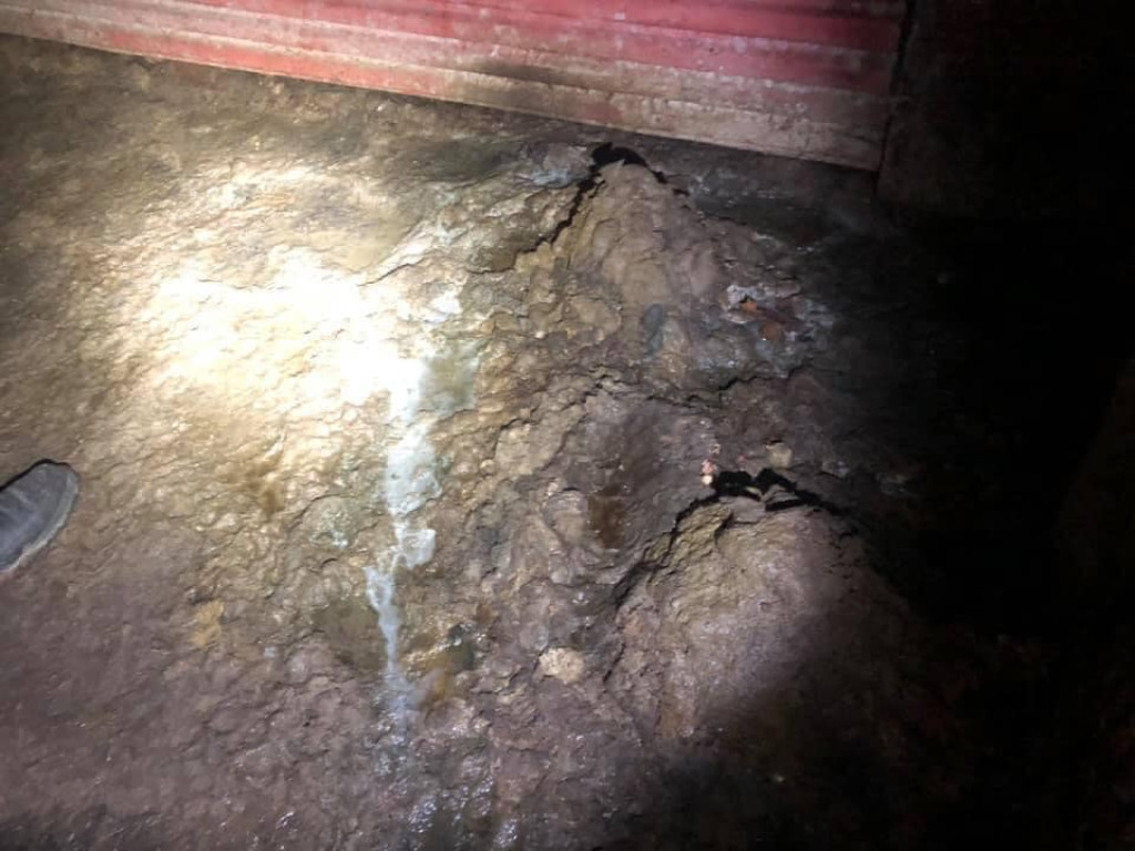 Ksiądz może usłyszeć zarzut znęcania się nad zwierzętami. TOZ odebrał mu dwa psy